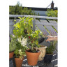 Комплект садовых инструментов GARDENA 08966-30.000.00