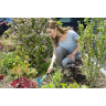 Ручная мотыжка с 2 зубцами GARDENA 08913-20.000.00